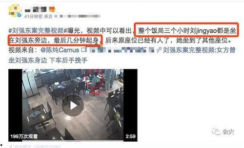刘强东事件爆料视频全集,揭秘爆料视频全集背后的真相与争议  第1张